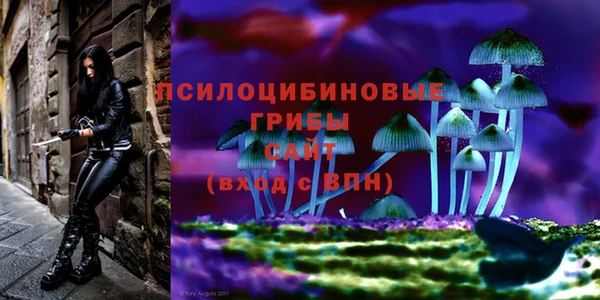 скорость Богданович
